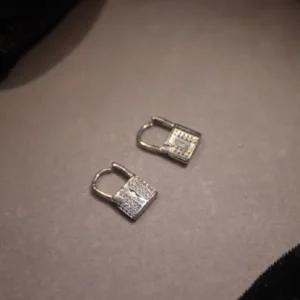Locks Earrings